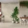 Feroe Greige Concrete Effect Large Matt Porcelain Tile 120x59.5cm