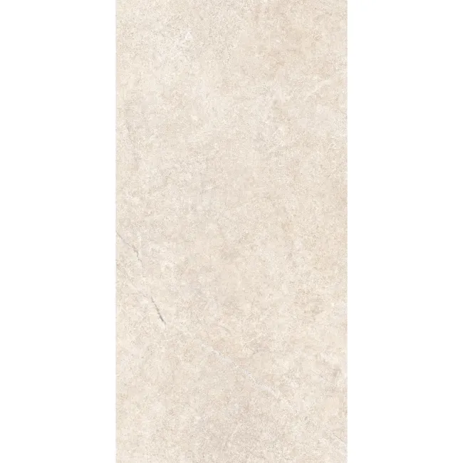 Alchemy Earth Grey Limestone Effect Anti Slip Porcelain Tile 120x60cm