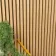 Trepanel® Oak Acoustic Wood Wall Panels