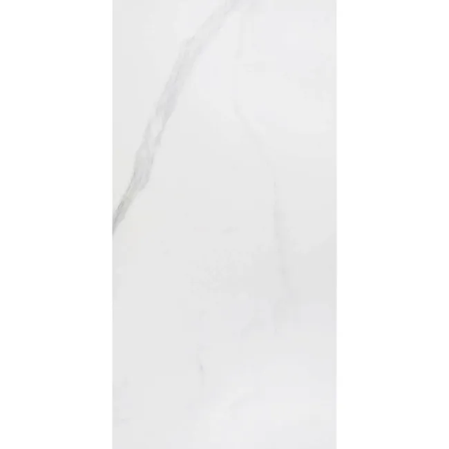 Carrara White Matt Marble Porcelain Tile 60x30cm