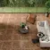 Volte Walnut Woven Wood Effect Large Matt Porcelain Floor Tile 75x75cm